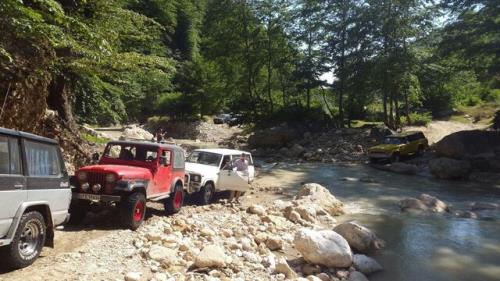 گردشگری جایگزین سبب حفظ محیط زیست می شود