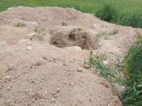 مرگ تدریجی یک شهر باستانی در خوزستان