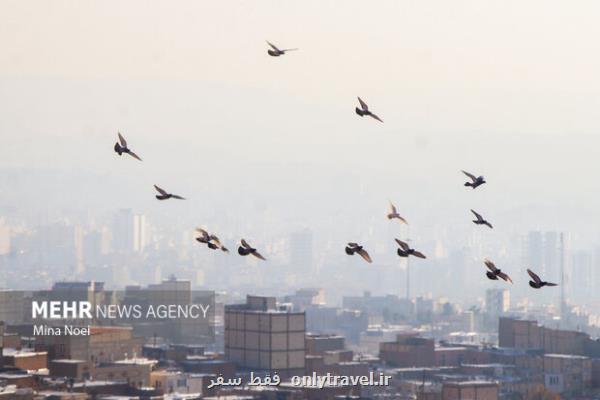 هوای اصفهان ناسالم می باشد