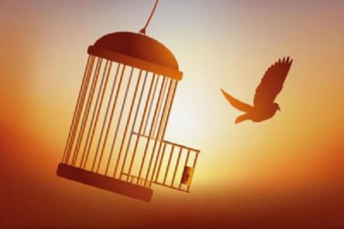 ۳۸۶ زندانی از شروع سال در استان تهران آزاد شدند