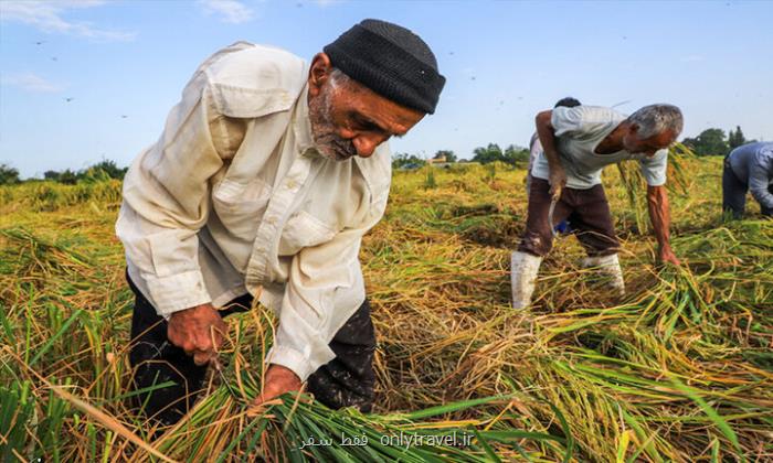 پیشنهاد ایجاد موزه کشاورزی