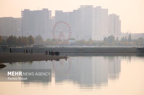 ۵۰ هزار ماهی کپور در دریاچه شهدای خلیج فارس آزادسازی شد