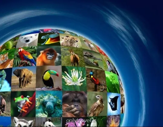 تنوع زیستی و برنامه های جهانی پیش رو