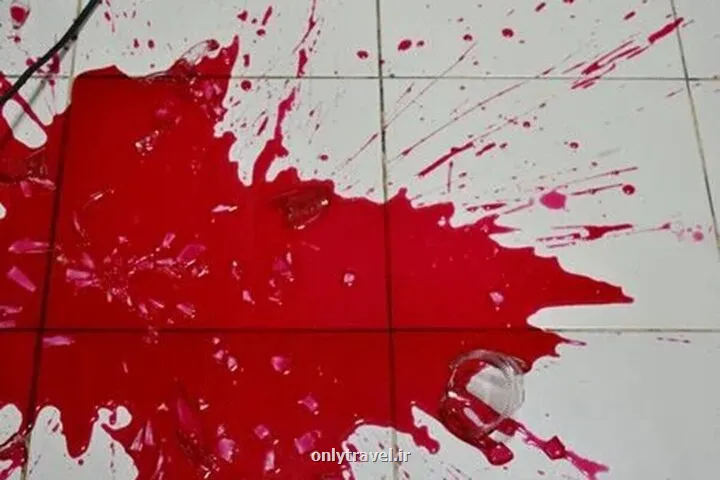 سلاح بدون مجوز پدر، خانواده قاتل جانش شد