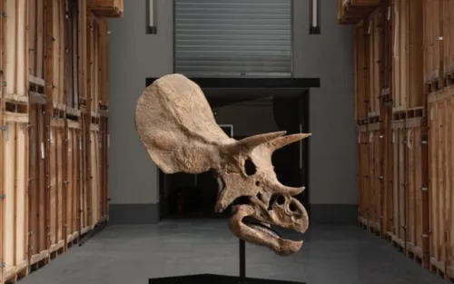 یک دایناسور دیگر حراج می شود