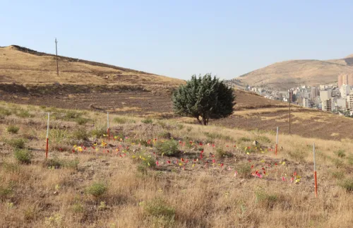 سرنوشت محوطه باستانی یک میلیون ساله کرمانشاه چه می شود؟