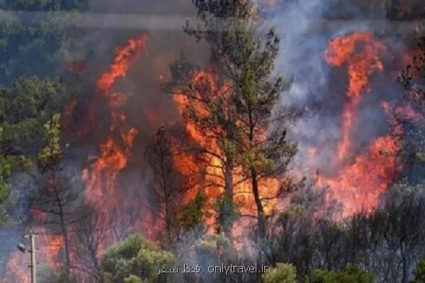 آتشسوزی جنگل های الیت هنوز به صورت کامل مهار نشده است