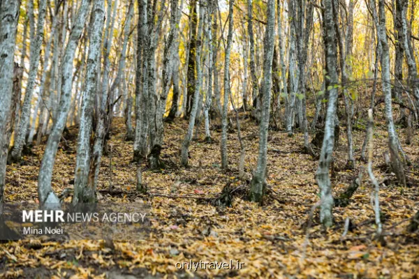 نشست کارگروه ملی طبیعت گردی با محور حفاظت و توسعه پایدار