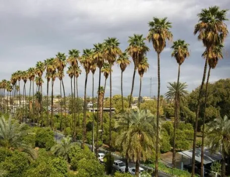 نوروز سال جاری راهی جیرفت شوید جایی که بهار و تمدن همزمان شکوفا می شوند