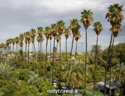 نوروز سال جاری راهی جیرفت شوید جایی که بهار و تمدن همزمان شکوفا می شوند