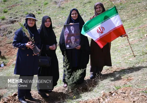 طرح کاشت یک میلیارد درخت در نیمه راه بقای نهال ها مهم تر از آمار کاشت