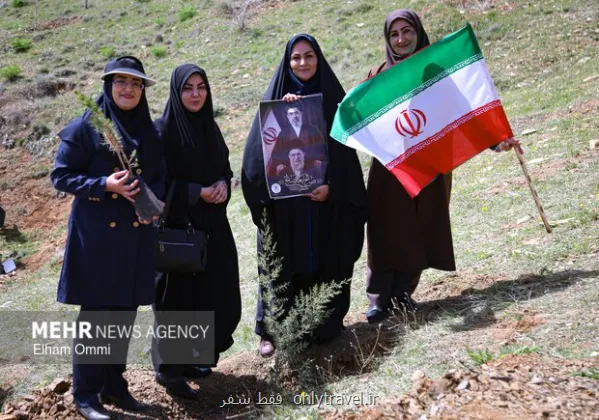 طرح کاشت یک میلیارد درخت در نیمه راه بقای نهال ها مهم تر از آمار کاشت
