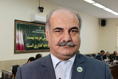 برداشت چوب از جنگل های هیرکانی ممنوع ماند