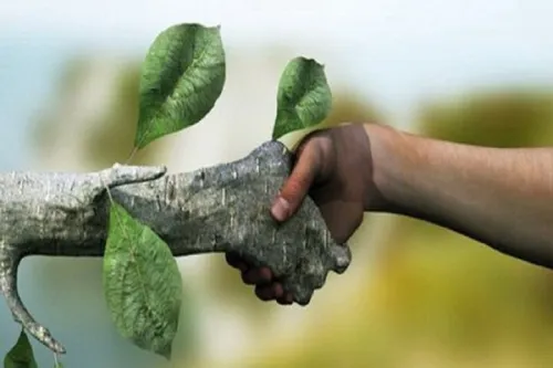 تشکل ها باید از حاشیه به کانون تصمیم سازی های کلان منتقل شوند