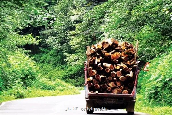 کشف ۲ تن چوب درخت تاغ در کوهپایه اصفهان قاچاق چی ها متواری شدند کشف ۲ تن چوب درخت تاغ در کوهپایه اصفهان قاچاق چی ها متواری شدند