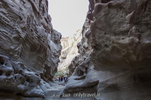 آریزونا در ایران! آریزونا در ایران!