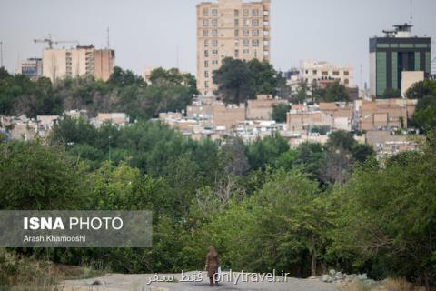 برخورد با همسایه های متصرف فضای سبز در شهرك غرب برخورد با همسایه های متصرف فضای سبز در شهرك غرب