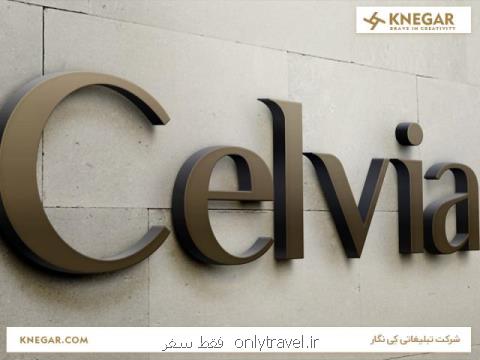 طراحی لوگو تاثیر گذار در سایت و بسته بندی