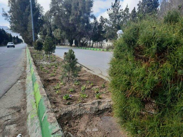 كاشت 5000 اصله درخت و گل زینتی در خاش كاشت 5000 اصله درخت و گل زینتی در خاش